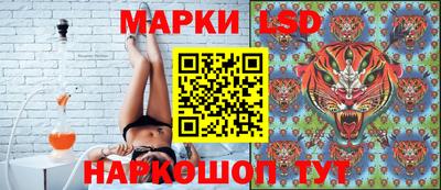 шишки Кинель