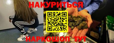 apvp Кингисепп