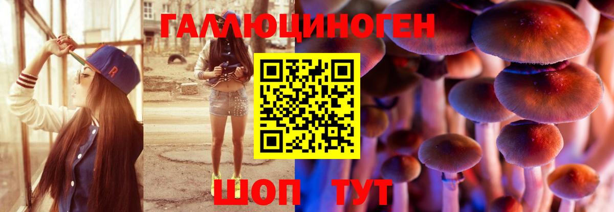 Галлюциногенные грибы мицелий Лесной